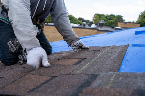 Quick and Trustworthy Emergency Roof Repair Services in St Lawrence, PA